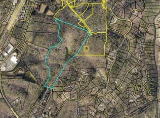 38 Ridgehaven Trl, Ellijay, GA 30536