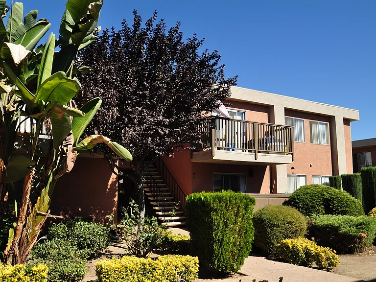 Ashwood Apartments — Photo 5