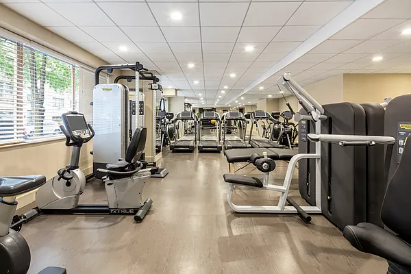 Sold by Douglas Elliman | media 11