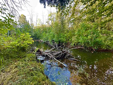 Property photo 71