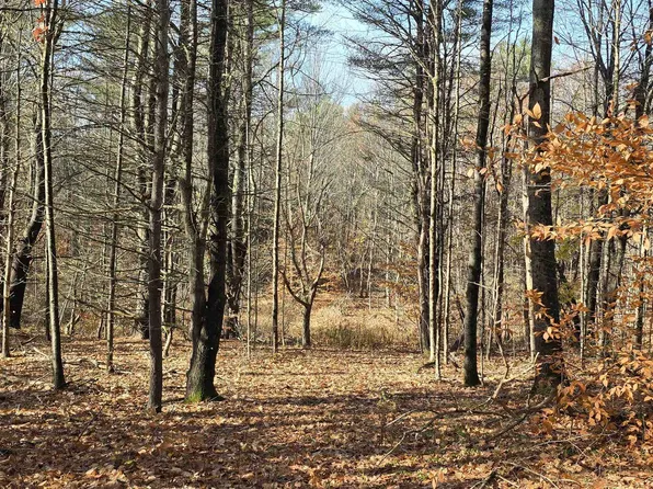 0 Meadow Pond Road, Gilmanton, NH 03237