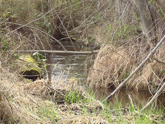 Irrigation Stream w/ Water Rights!