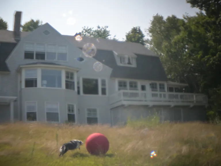 3 acres with a field above and below the house. Your apt. is on the bottom with 5 windows facing the view.