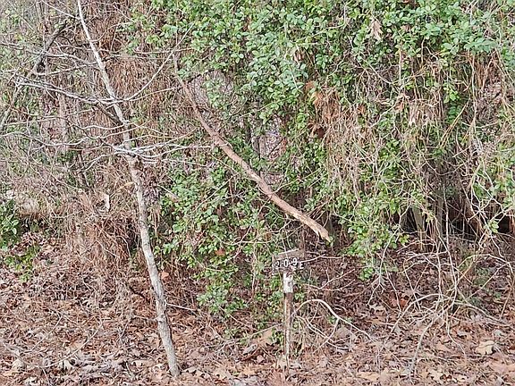 3rd image of 0 Redbud Dr