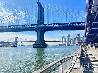 Rented by Alpha Properties NYC I LLC