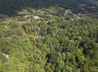 0 Screech Owl Dr, Candler, NC 28715
