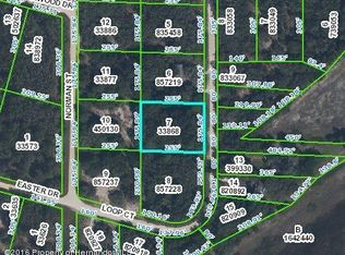 Loop Ct, Webster, FL 33597