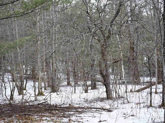 2nd image of rt 58 East