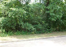 5th image of 13723 Fountainview Dr