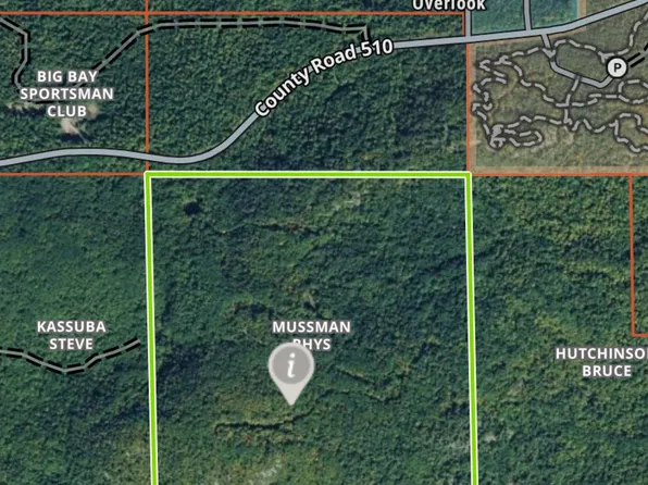 160 Acres, Off Of Cr 510 Road Big Bay, MI 49808