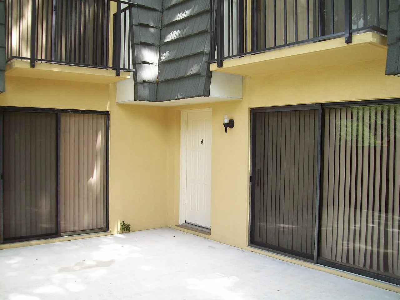 Sandalwood — Photo 3