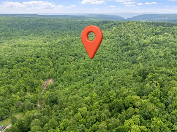 0 Rock Ave, Palmer, TN 37365