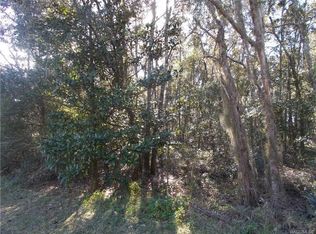 586 E Reehill St, Lecanto, FL 34461