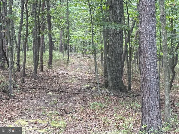 152 Acres Off, Ridgeley, WV 26753