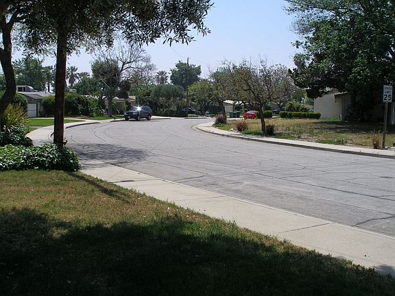 Tree Lined Street