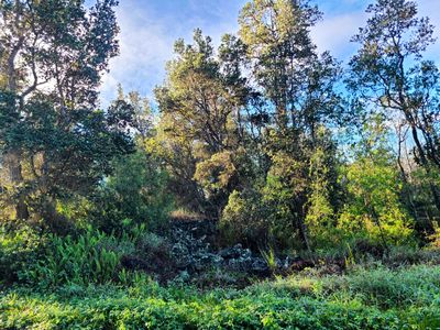 Hukilau Dr, Ocean View, HI, 96737