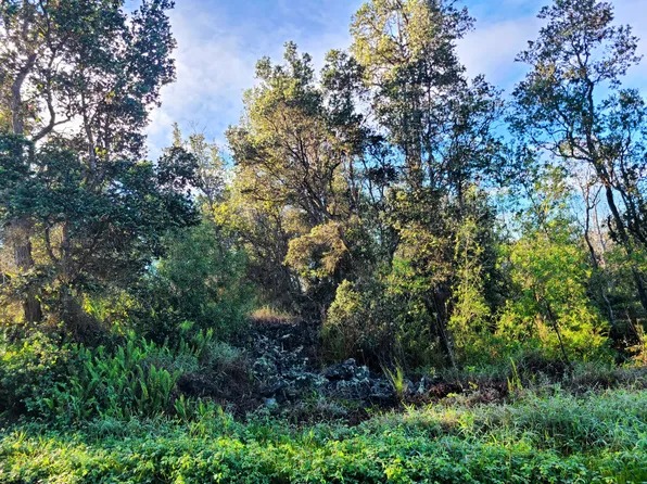 Hukilau Dr Lot 5, Ocean View, HI 96737