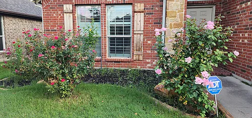 14900 Frisco Ranch Dr Photo 1