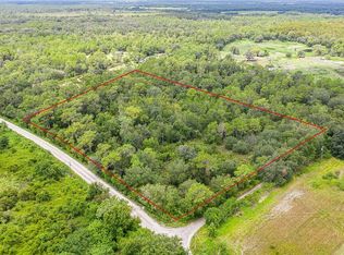 17515 Sorona Rd, Wimauma, FL 33598