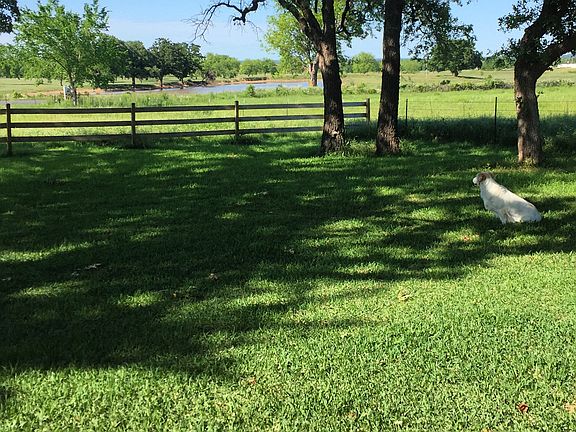 Front yard again