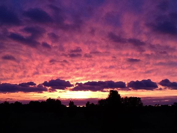 Sunset View