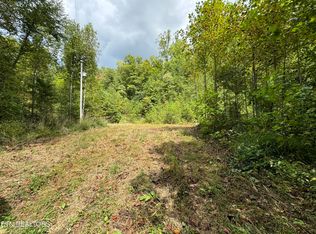 4031 Trail Hollow Rd, Cosby, TN 37722