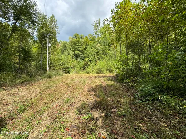 4031 Trail Hollow Rd, Cosby, TN 37722