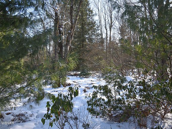 3rd image of 31 Black Bear Trl