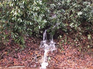 163 Forks Of The River Rd, Rosman, NC 28772