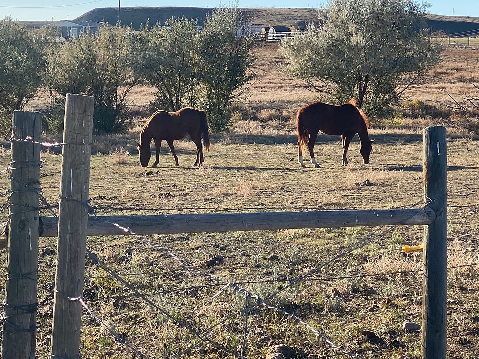 2nd image of Appaloosa Ln