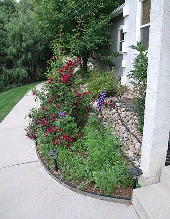 perennial garden by front door