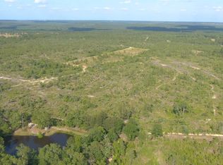 346 Henry Currington Rd, Mauk, GA 31058