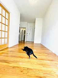 Rented by Lone Peak Realty