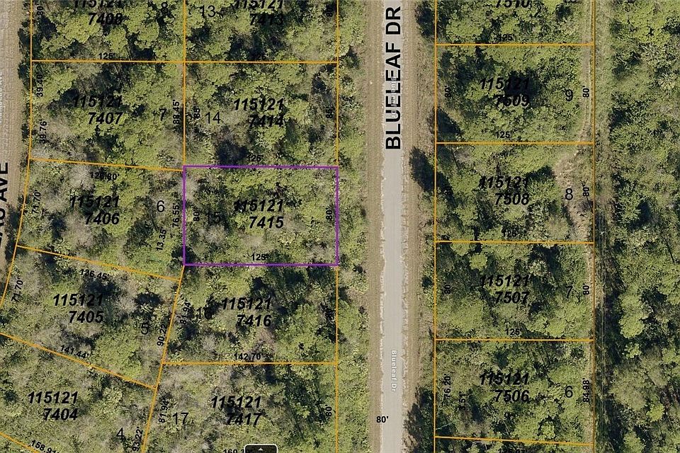 1st image of 1151217415 Blueleaf Dr