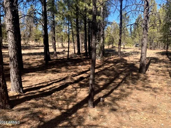 5236 TAOS Circle #152, Happy Jack, AZ 86024