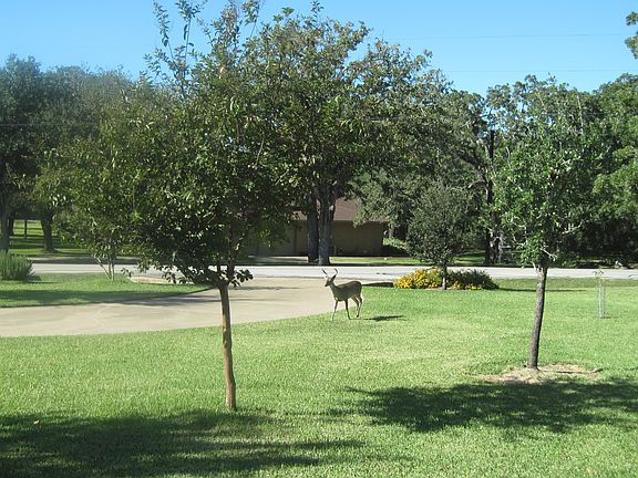 2nd image of 7201 Oak Forest Dr
