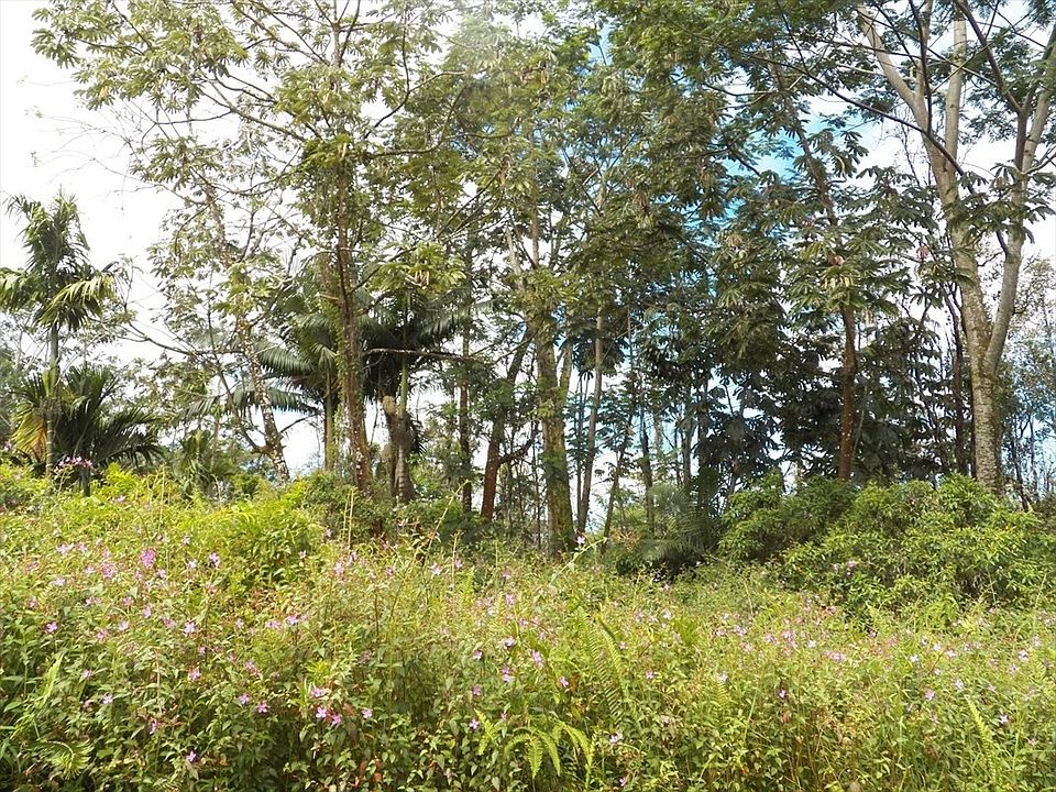 1st image of Silversword Ct Lot 16