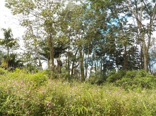 Silversword Ct LOT 16, Kurtistown, HI 96760