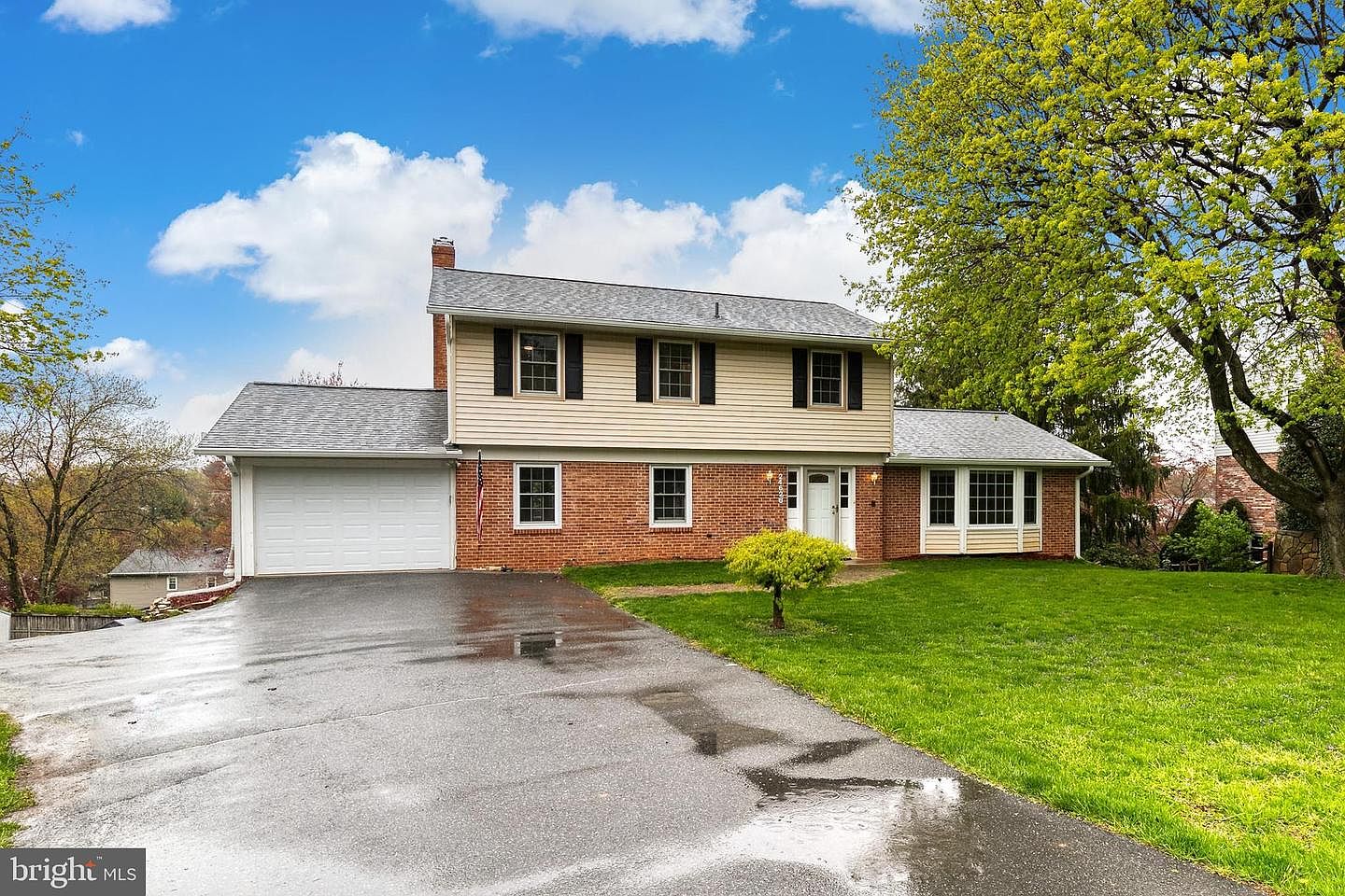 budd＆joey バオバブ Marucci “POSEY28” Buster Posey Pro Exclusive Maple Bat | Dick's