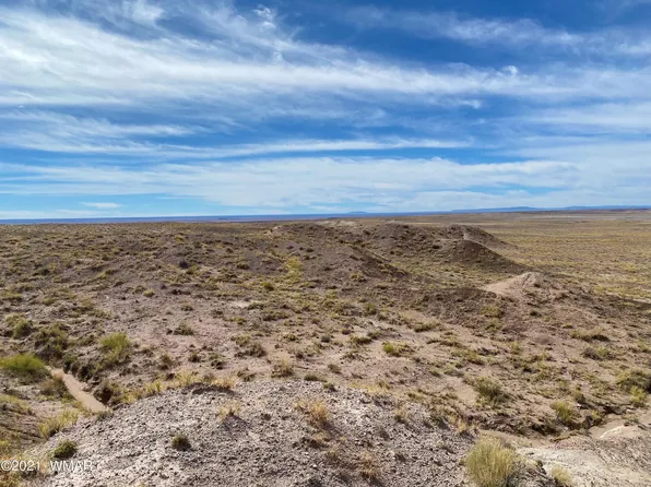 0 N Porter Ave, Joseph City, AZ 86032