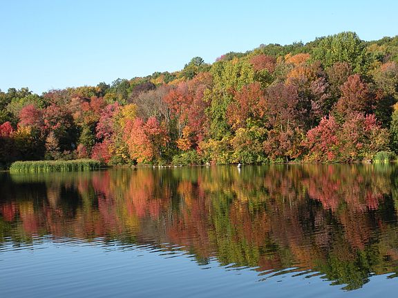 FALL ON DIXON LAKE