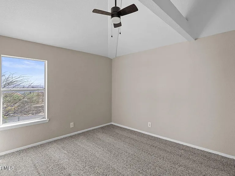 12425 Red Sun Dr — Photo 19