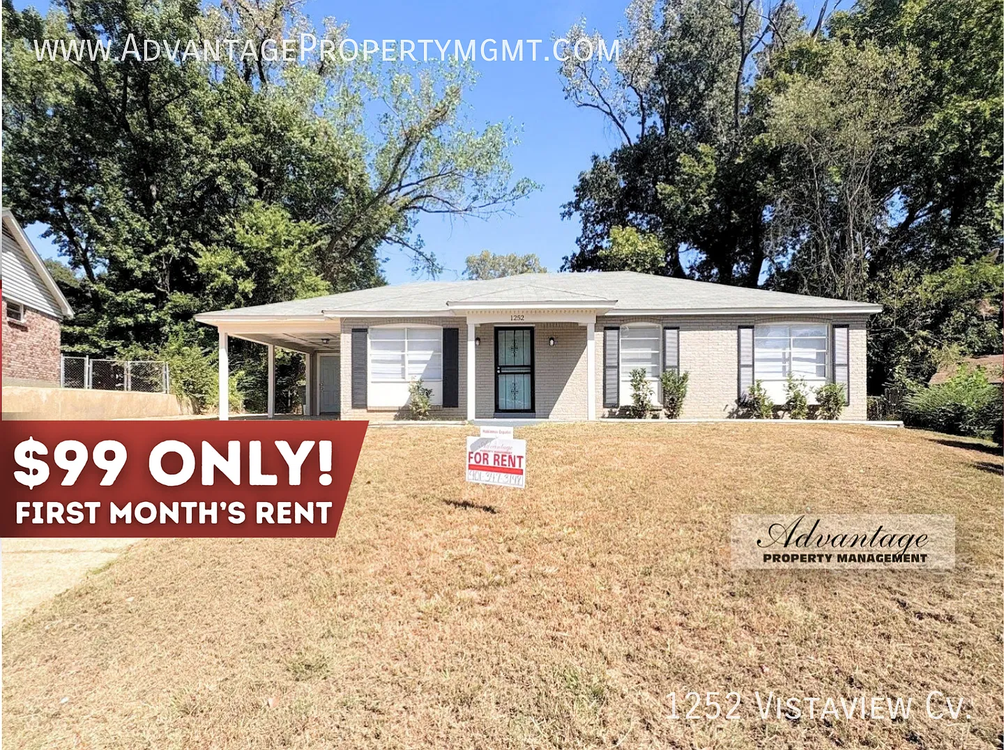 1252 Vistaview Cv. Memphis, TN 38127 — Photo 1