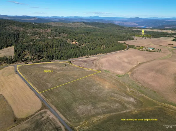 0 Brown Rd Parcel 1, Lenore, ID 83541