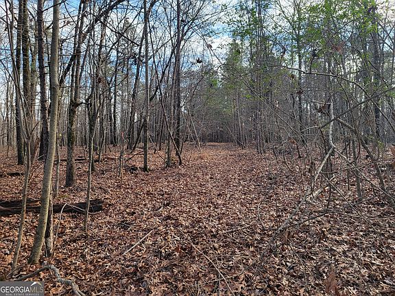 3rd image of 0 Rocky Hollow Rd