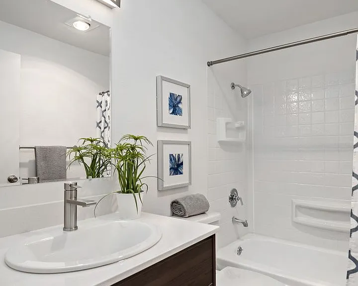 Canopy Apartments — Photo 46