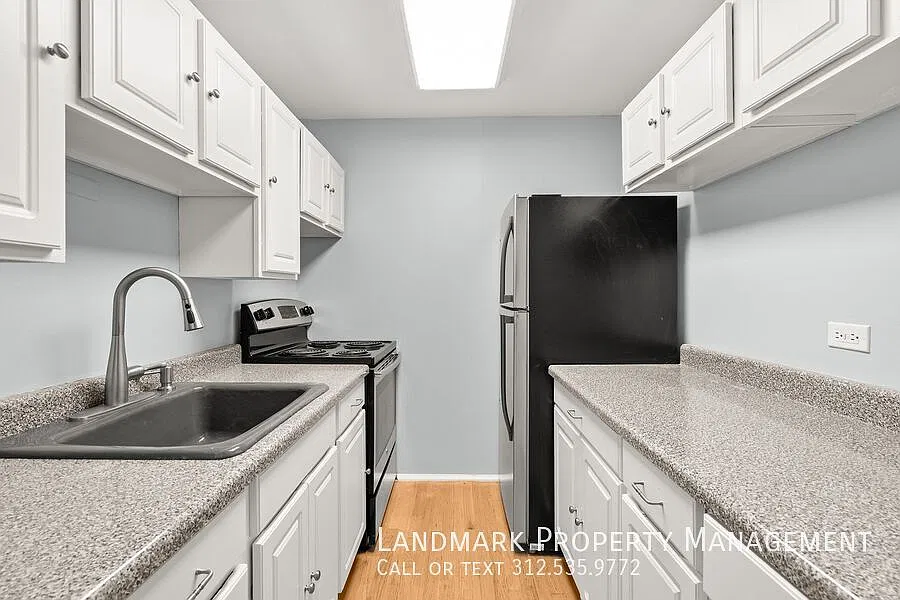 100 E Walton St Unit 17G — Photo 2