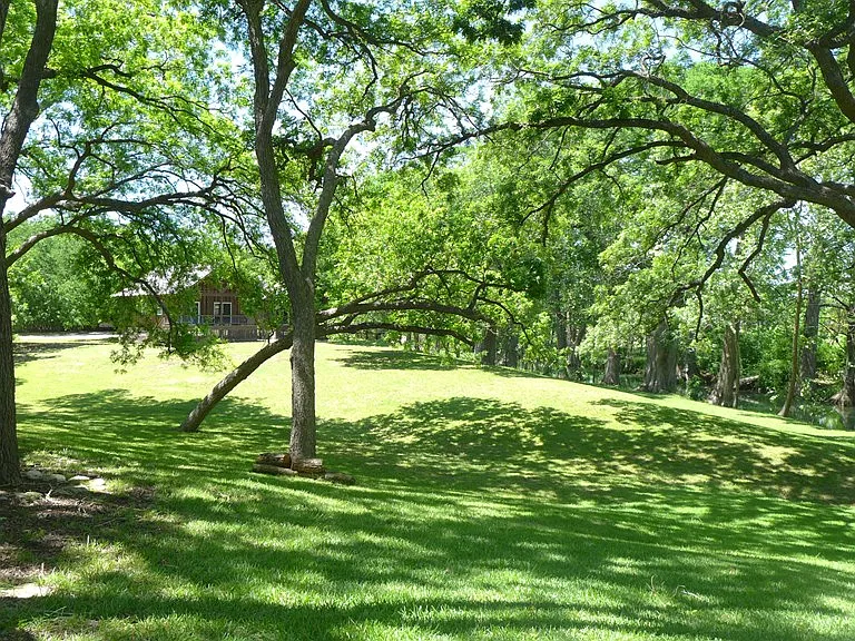 156 Verde Park Blvd — Photo 23