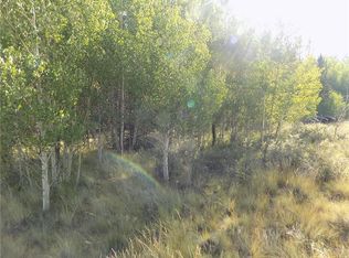 479 Spearpoint Rd, Como, CO 80432