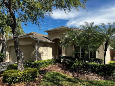 5912 Tulip Flower Dr, Riverview, FL, 33578